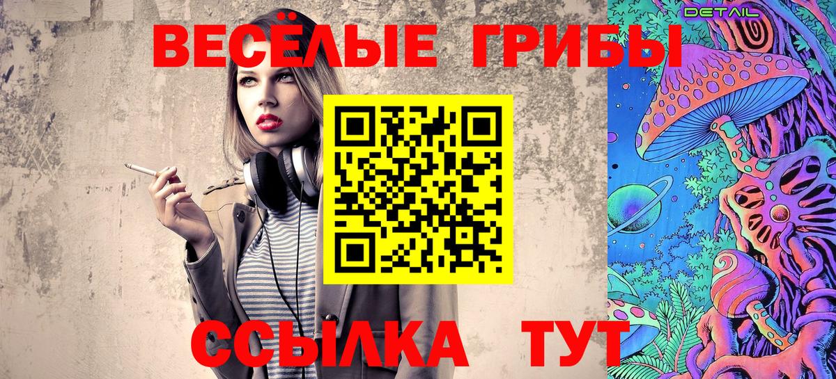 Псилоцибиновые грибы Psilocybine cubensis  Вход с VPN  Медногорск  Галлюциногенные грибы Psilocybe 